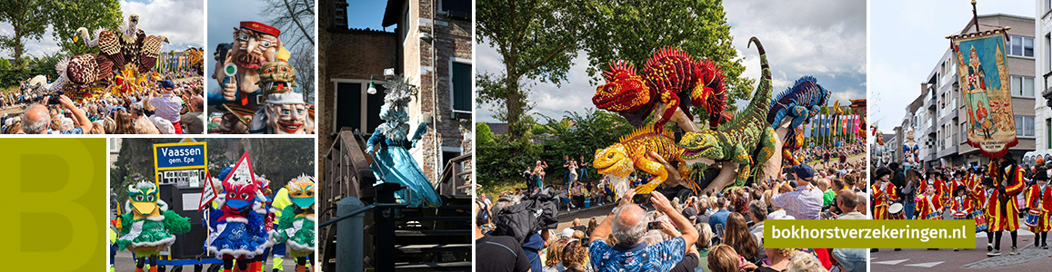 Collage van verzekerde optochten en praalwagens